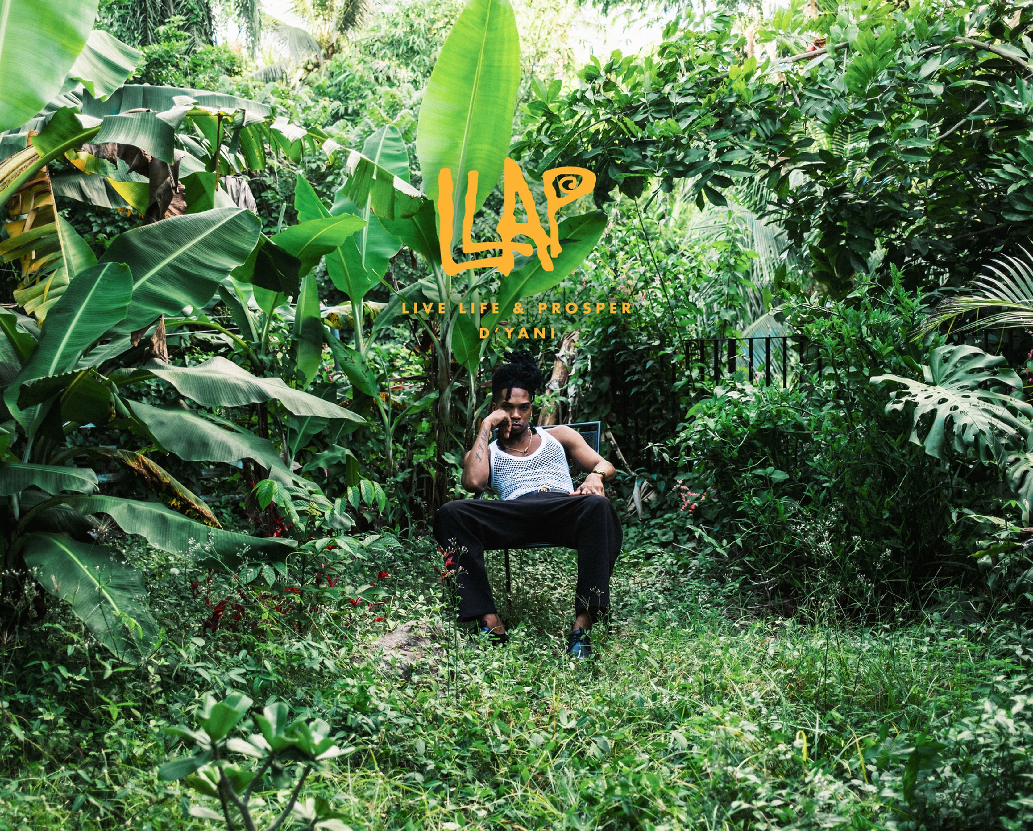 D'yani — LLAP (Live Life and Prosper)